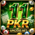 111PKR Game