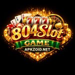 804Slot Game