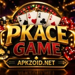 PKACE Game
