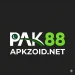 PAK88 Game