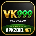 VK9999 Game