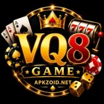 VQ8 Game